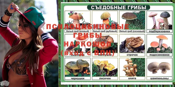 спайс Магас