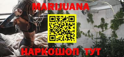 сатива Гатчина