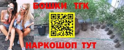 сатива Гатчина