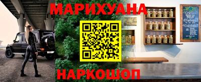 сатива Гатчина