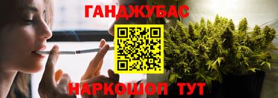 сатива Гатчина