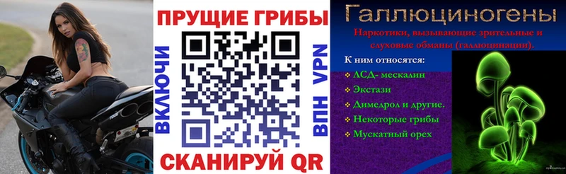 Галлюциногенные грибы GOLDEN TEACHER  hydra рабочий сайт  Красноперекопск  магазин продажи  