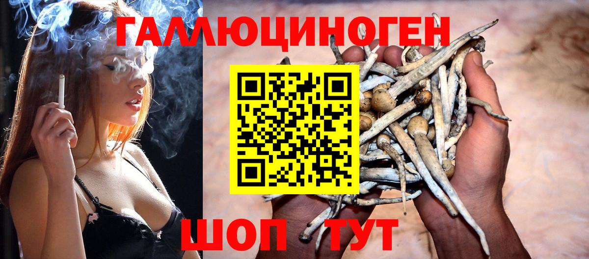 Галлюциногенные грибы Magic Shrooms Красноперекопск